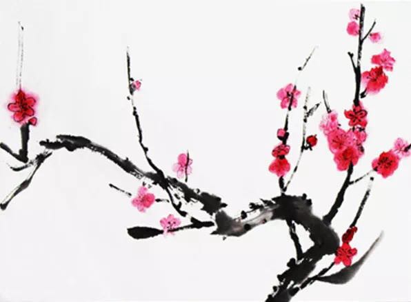 “梅迷”踏雪尋“梅”所為何？